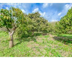 Chalet en Venta en Rincón de la Victoria, Málaga