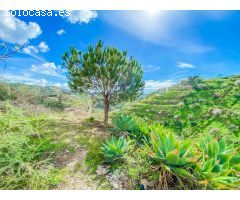 Chalet en Venta en Rincón de la Victoria, Málaga