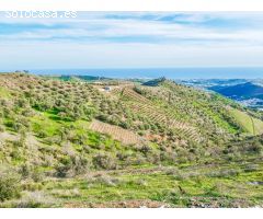 Parcela en Venta en Vélez-Málaga, Málaga
