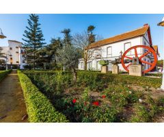 Apartamento en Alquiler en Torre del Mar, Málaga