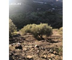 Parcela en Venta en Torrox Costa, Málaga