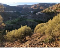 Parcela en Venta en Torrox Costa, Málaga