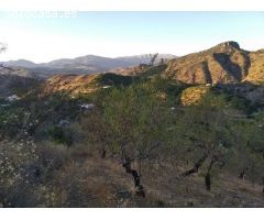 Finca rustica en Venta en Benamargosa, Málaga