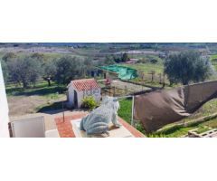 Finca rustica en Venta en Coín, Málaga