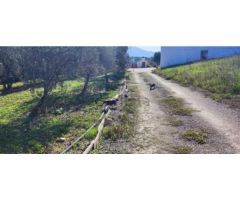 Finca rustica en Venta en Coín, Málaga