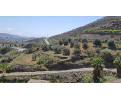 Finca rustica en Venta en Torrox Costa, Málaga