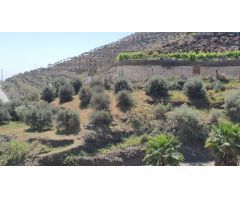 Finca rustica en Venta en Torrox Costa, Málaga