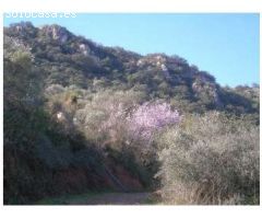Parcela en Venta en Comares, Málaga