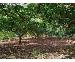 Casa de campo en Venta en Torrox Costa, Málaga