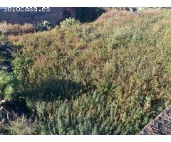 Finca rustica en Venta en Telde, Las Palmas