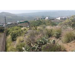 Finca rustica en Venta en Telde, Las Palmas