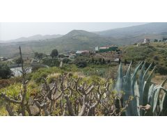 Finca rustica en Venta en Telde, Las Palmas
