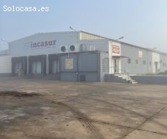 INDUSTRIA CÁRNICA EN CORIA DEL RÍO