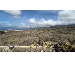 Finca rustica en Venta en Adeje, Santa Cruz de Tenerife