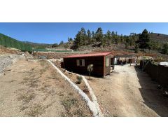 Finca rustica en Venta en Granadilla de Abona, Santa Cruz de Tenerife