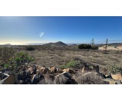 Finca rustica en Venta en San Miguel de Abona, Santa Cruz de Tenerife