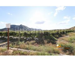 Terreno rural en Venta en Lagostelle, Alicante