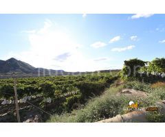 Terreno rural en Venta en Lagostelle, Alicante
