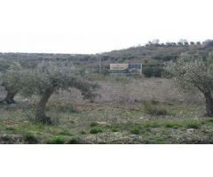 SUELO URBANIZABLE EN CABANILLAS DEL CAMPO, GUADALAJARA