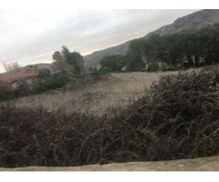 TERRENO URBANO EN LORANCA DE TAJUÑA, GUADALAJARA