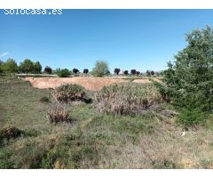 Solar Urbano Consolidado en el Sector REMATE DE LAS CAÑAS - GUADALAJARA