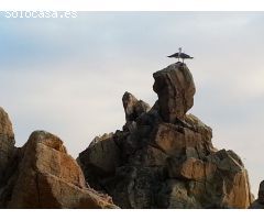 Parcela en Venta en Lloret de Mar, Girona