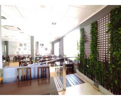 Local comercial en Venta en Benidorm, Alicante
