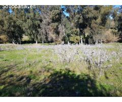 PARCELA DE 3.500M2 RUSTICA