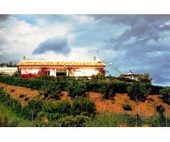 PARCELA EN VENTA, ENTRERRIOS
