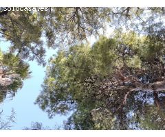 Chalet en Venta en Els Poblets, Alicante