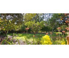 Chalet en Venta en Els Poblets, Alicante