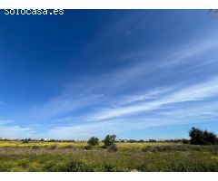 Bungalow en Venta en Los Dolses, Alicante