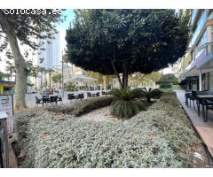 Apartamento en Venta en Benidorm, Alicante