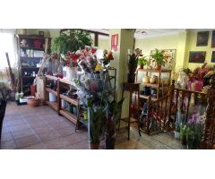Casa en Venta en Pinoso, Alicante