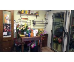 Casa en Venta en Pinoso, Alicante