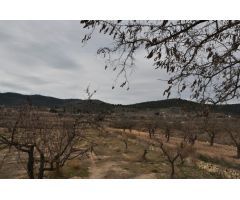 Villa en Venta en Monovar - Monover, Alicante