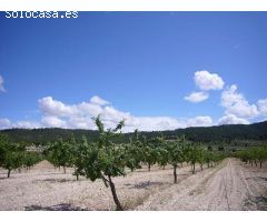 Casa de campo en Venta en Salinas de Añana, Alicante