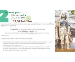 Finca rustica en Venta en Barrio Viejo de Callosa de Segura, Alicante
