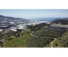 Finca rustica en Venta en Gualchos, Granada