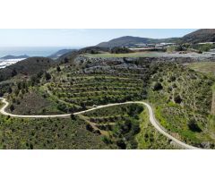 Finca rustica en Venta en Gualchos, Granada