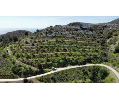 Finca rustica en Venta en Gualchos, Granada