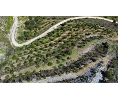 Finca rustica en Venta en Gualchos, Granada