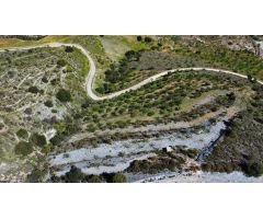 Finca rustica en Venta en Gualchos, Granada
