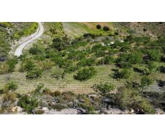 Finca rustica en Venta en Gualchos, Granada