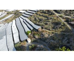 Finca rustica en Venta en Rubite, Granada