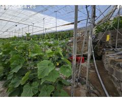 Finca rustica en Venta en Rubite, Granada