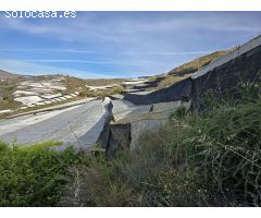 Finca rustica en Venta en Rubite, Granada