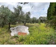 ¡¡PRECIOSA PARCELA CON PISCINA EN VILLANUEVA DEL REY!!