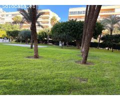 Piso en Alquiler en Torrevieja, Alicante