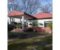 PARCELA EN ZONA CAMINO VIEJO DE ALMODOVAR CON PISCINA Y TERRENO DE 3000m2 - 226.000€ -